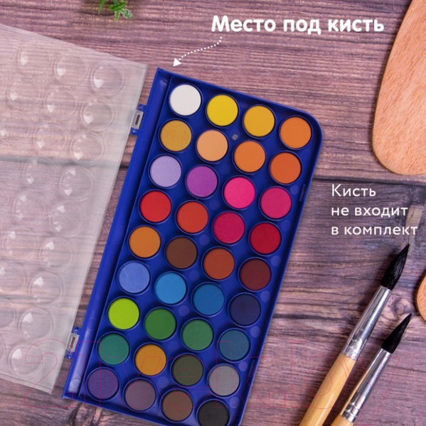 Изображение товара Акварельные краски Brauberg Premium / 191746 (36цв)