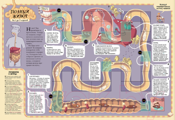 Изображение товара Энциклопедия АСТ Тело человека (Дэни М.)