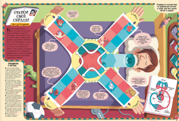 Изображение товара Энциклопедия АСТ Тело человека (Дэни М.)