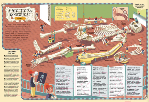 Изображение товара Энциклопедия АСТ Тело человека (Дэни М.)