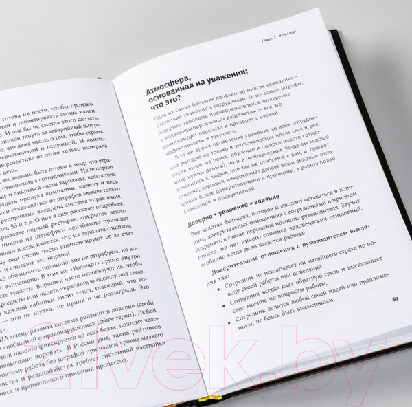 Изображение товара Книга Альпина Бизнес в стиле Макдоналдс (Зиганшин М.)