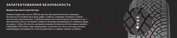 Изображение товара Зимняя шина Nokian Tyres Hakkapeliitta R5 245/40R20 99T