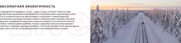 Изображение товара Зимняя шина Nokian Tyres Hakkapeliitta R5 245/40R20 99T