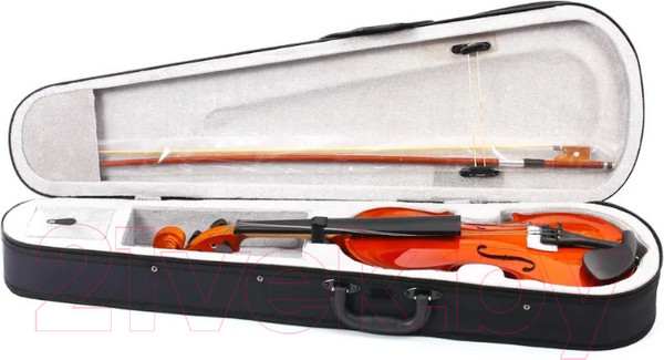 Изображение товара Скрипка Fabio SF3900 N (натуральный)