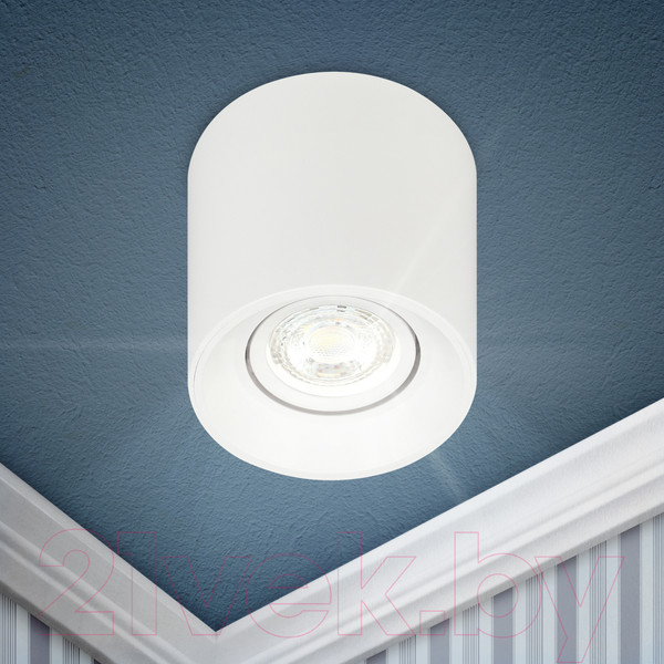 Изображение товара Спот ЭРА OL25-1 / Б0054383 (белый)