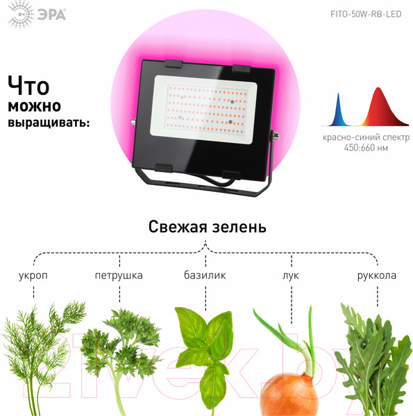 Изображение товара Светильник для растений ЭРА FITO-50W-RB-LED / Б0046368