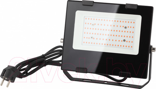 Изображение товара Светильник для растений ЭРА FITO-50W-RB-LED / Б0046368