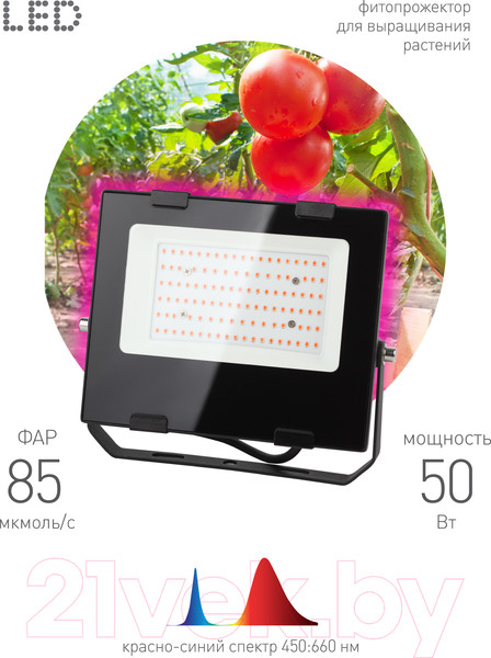 Изображение товара Светильник для растений ЭРА FITO-50W-RB-LED / Б0046368