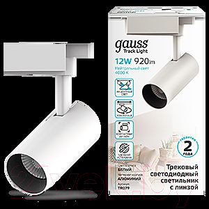 Изображение товара Трековый светильник Gauss TR079