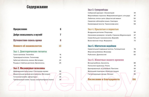 Изображение товара Энциклопедия Махаон Музей доисторических животных. Единороги, мамонты (Стегман Л.)