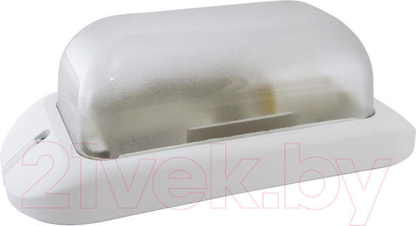 Изображение товара Светильник ЖКХ TDM SQ0312-0009