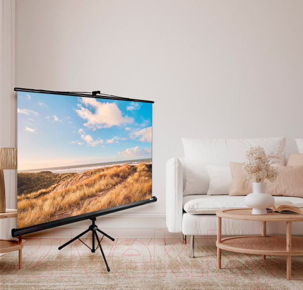Изображение товара Проекционный экран Cactus CS-PST-180X180