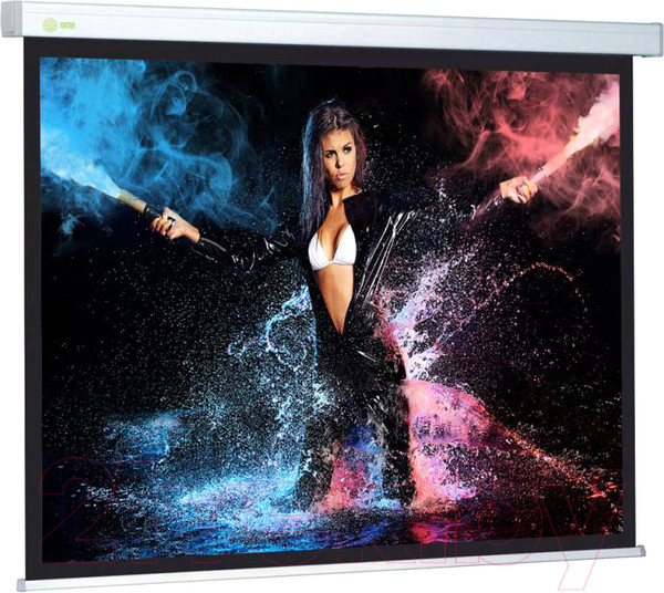 Изображение товара Проекционный экран Cactus CS-PSW-168X299