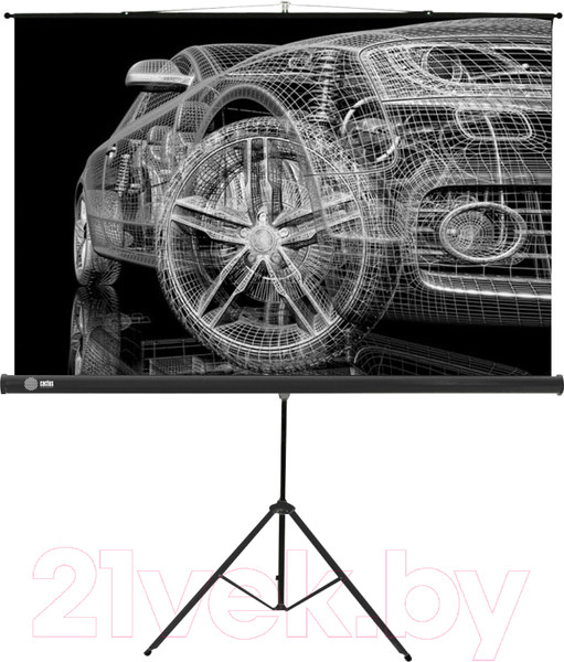 Изображение товара Проекционный экран Cactus CS-PST-124X221