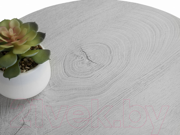 Изображение товара Журнальный столик Мебелик BeautyStyle 9 (дуб дымчатый/шимо)