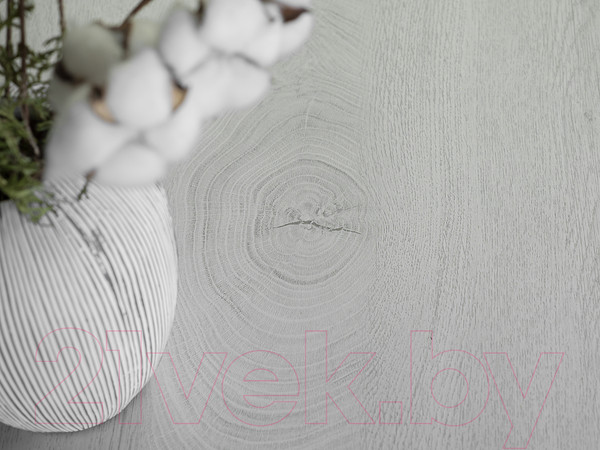 Изображение товара Журнальный столик Мебелик BeautyStyle 4 (дуб дымчатый/шимо)