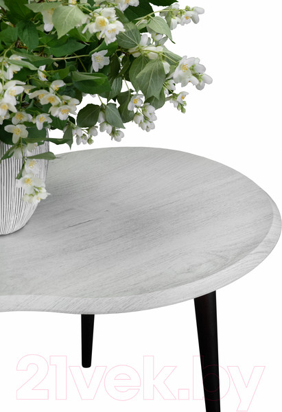 Изображение товара Журнальный столик Мебелик BeautyStyle 19 (дуб дымчатый/венге)