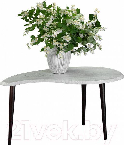 Изображение товара Журнальный столик Мебелик BeautyStyle 19 (дуб дымчатый/венге)