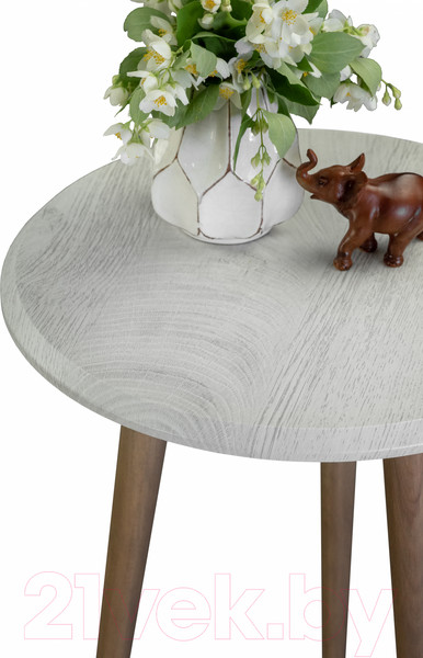 Изображение товара Журнальный столик Мебелик BeautyStyle 2 (дуб дымчатый/шимо)