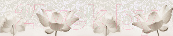 Изображение товара Скиналь ALBICO M 18