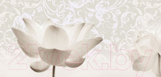 Изображение товара Скиналь ALBICO M 18