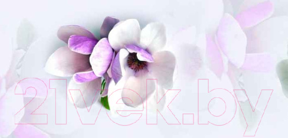 Изображение товара Скиналь ALBICO M 29