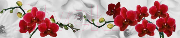 Изображение товара Скиналь ALBICO M 26