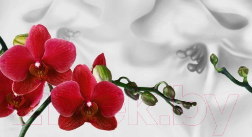 Изображение товара Скиналь ALBICO M 26