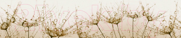 Изображение товара Скиналь ALBICO R 32