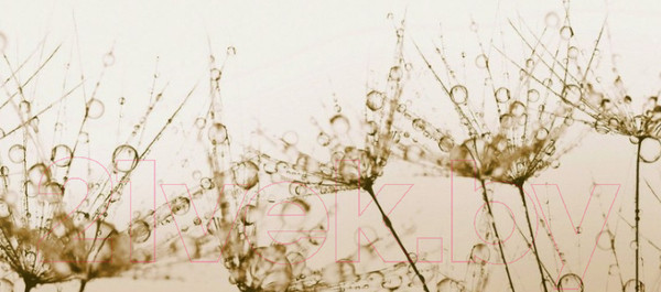 Изображение товара Скиналь ALBICO R 32