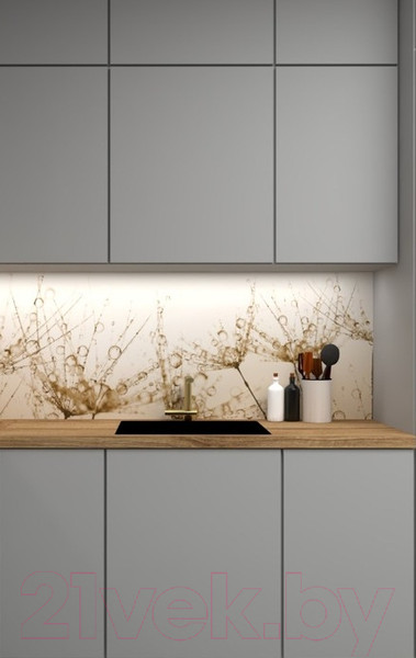 Изображение товара Скиналь ALBICO R 32