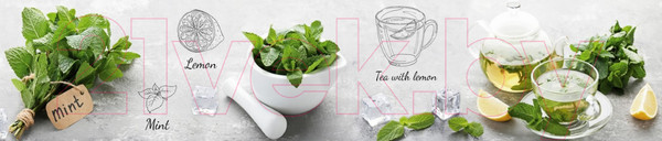 Изображение товара Скиналь ALBICO R 55