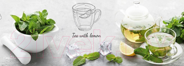 Изображение товара Скиналь ALBICO R 55