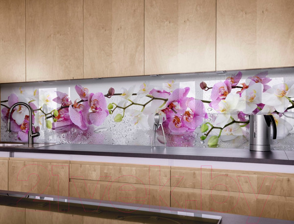 Изображение товара Скиналь ALBICO R 9