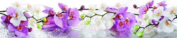 Изображение товара Скиналь ALBICO R 9