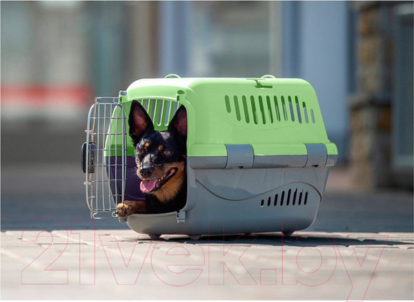Изображение товара Переноска для животных ZooExpress Турне авиа 16413 (М, зеленый)
