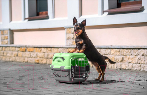 Изображение товара Переноска для животных ZooExpress Турне авиа 17413 (S, зеленый)