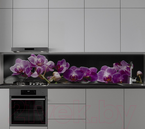 Изображение товара Скиналь ALBICO SP 089