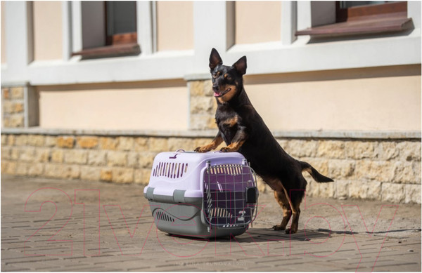 Изображение товара Переноска для животных ZooExpress Турне авиа 18411 (L, голубой)