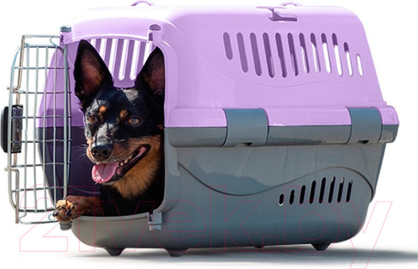 Изображение товара Переноска для животных ZooExpress Турне авиа 18412 (L, фиолетовый)
