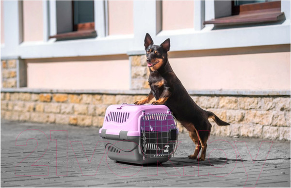 Изображение товара Переноска для животных ZooExpress Турне авиа 18412 (L, фиолетовый)