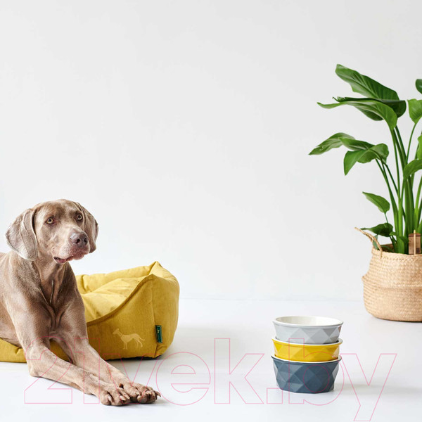 Изображение товара Лежанка для животных HUNTER Sofa Eiby 100x70 / 68724 (желтый)