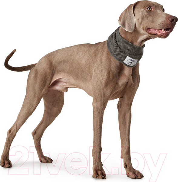 Изображение товара Шарф для животных HUNTER Scarf Nancy 78см / 66806 (серый)