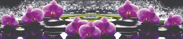 Изображение товара Скиналь ALBICO VIP 32