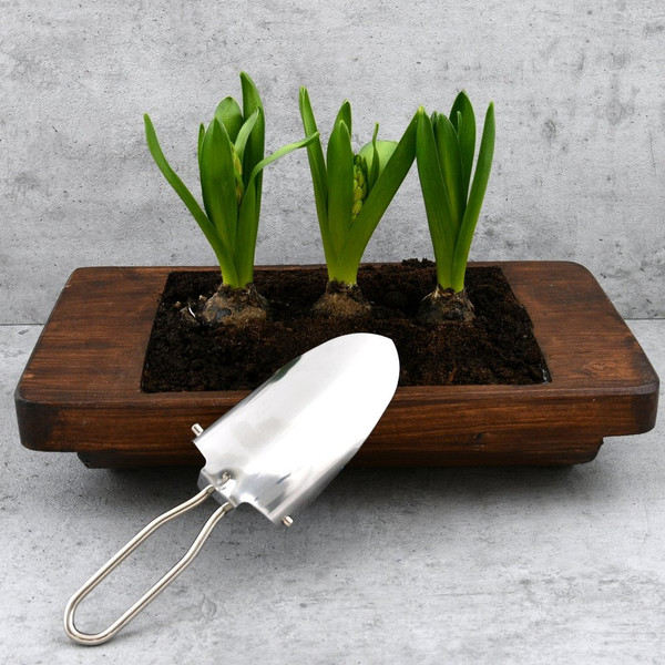 Изображение товара Совок садовый Мультидом Компакт / VL83-55