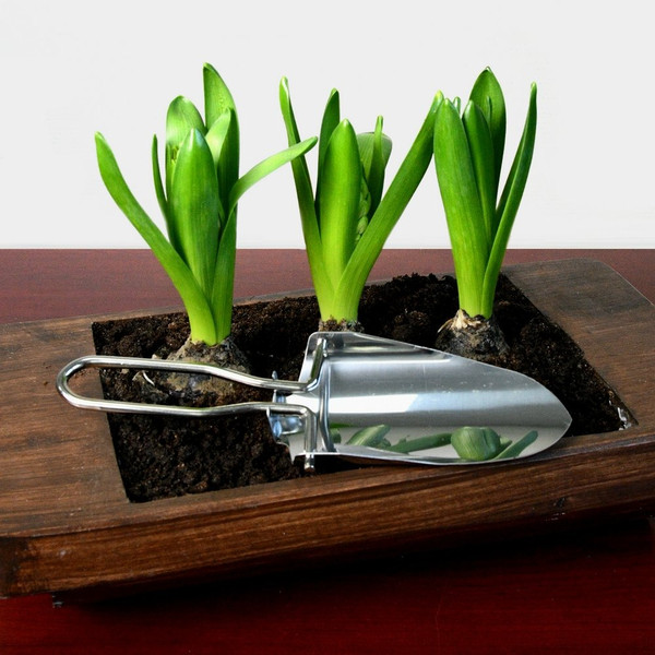 Изображение товара Совок садовый Мультидом Компакт / VL83-55