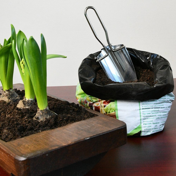 Изображение товара Совок садовый Мультидом Компакт / VL83-55