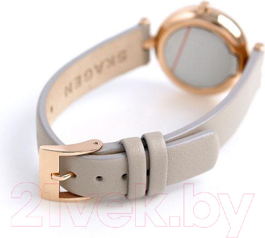 Изображение товара Часы наручные женские Skagen SKW2643