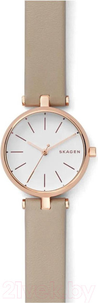 Изображение товара Часы наручные женские Skagen SKW2643