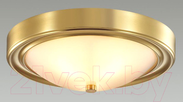 Изображение товара Потолочный светильник Lumion Nina 5259/2C